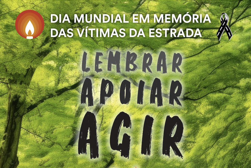 DIA MUNDIAL EM MEM&Oacute;RIA DAS V&Iacute;TIMAS DA ESTRADA | 17 de Novembro - Cerim&oacute;nia Nacional &Eacute;vora 