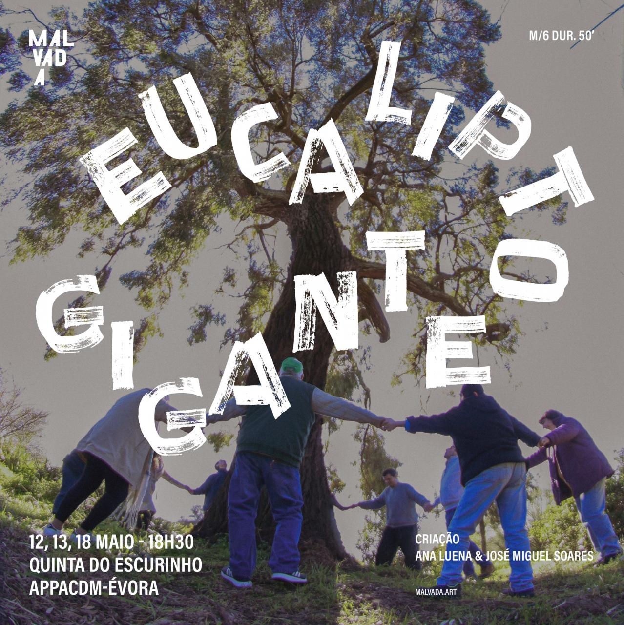 Espetáculo | "Visita encenada EUCALIPTO GIGANTE | Évora, 12, 13 e 18 maio 2023