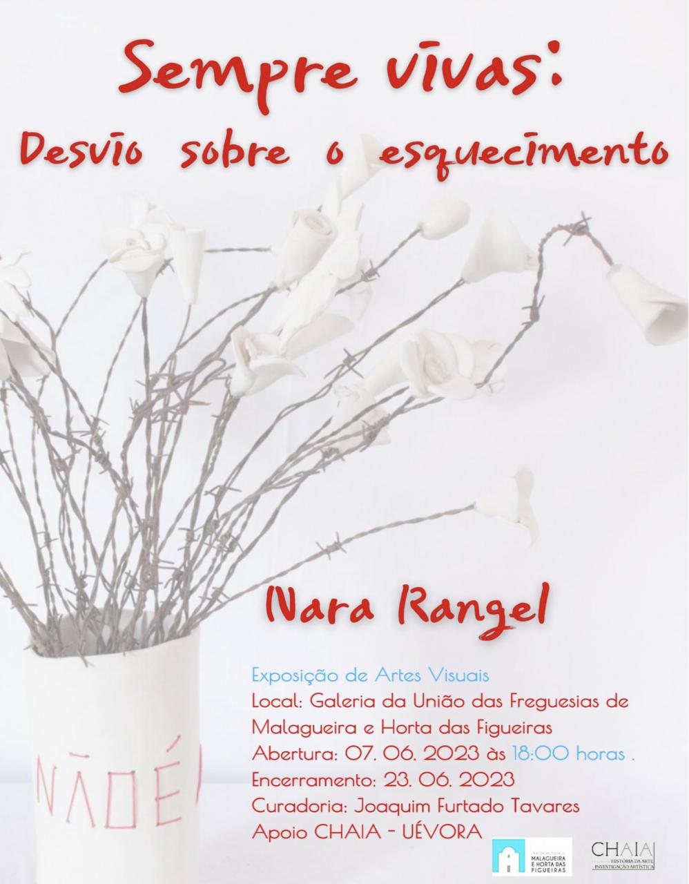 Exposição | “Sempre vivas: Desvio sobre o esquecimento” de Nara Rangel